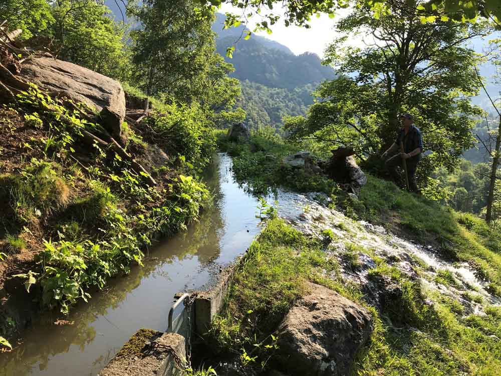 Walliser Suone © Karina Liechti, Stiftung Landschaftsschutz Schweiz