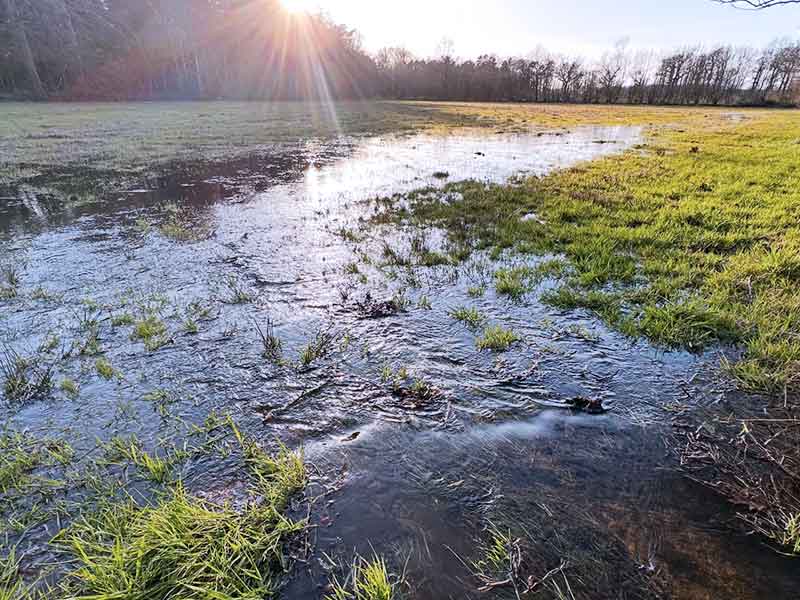 Het Lankheet - Bild Eric Brinckmann 